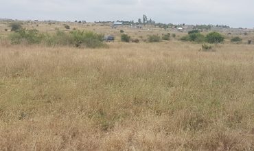 Prime Eighth (1/8) Acre Plots For Sale- Kamulu off Kangundo Road
