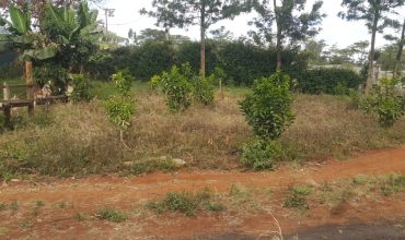 Prime Eighth (1/8) Acre Plot For Sale- Ngong, Kibiko